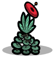 环玫花