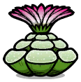 安宁芷