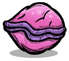 seed_clam_0__ui